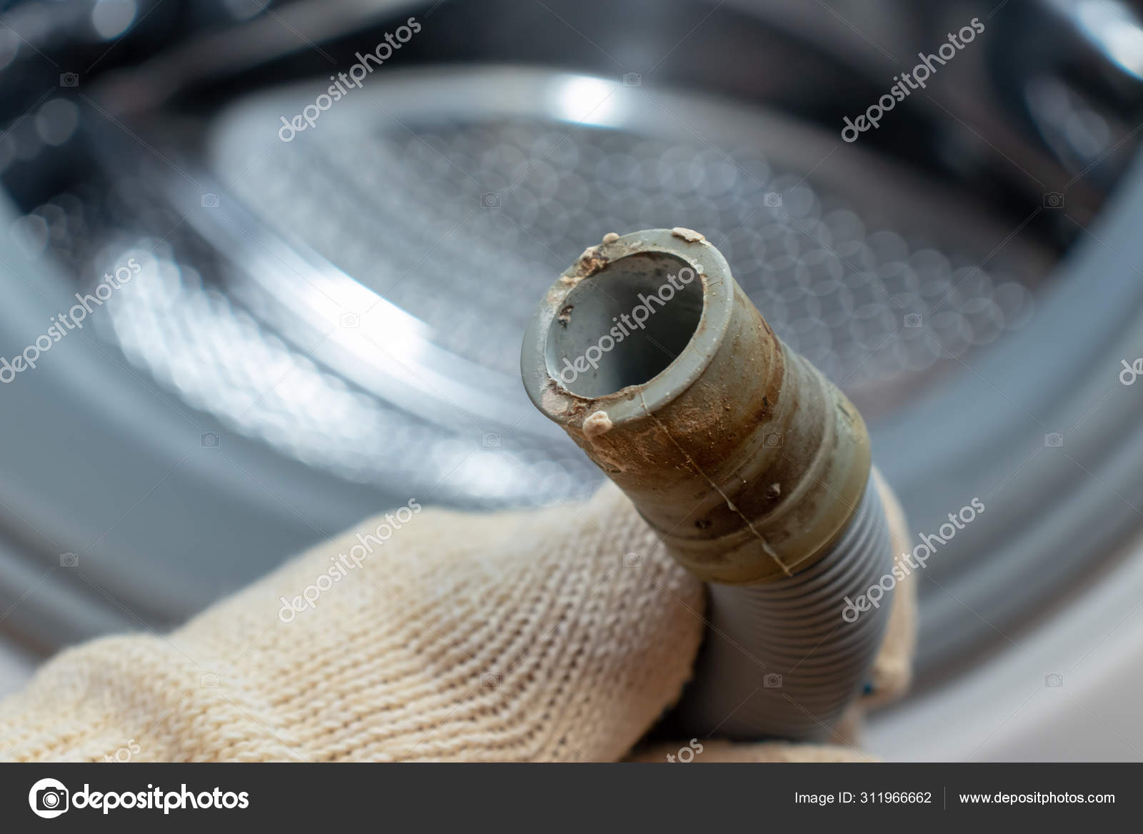 Hand of a plumber holding a broken flexible drain hose of washing machine, clogged and covered