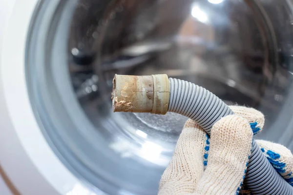 Рука водопроводчика, держащего сломанный гибкий дренажный шланг стиральной машины, засоренный и покрытый известью, грязный лайм и ржавчину — стоковое фото