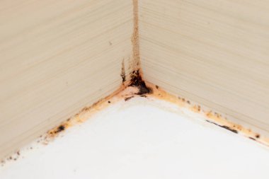 Küf mantarı ve pas, küf eklemlerinde, nemli, kötü havalandırılmış banyoda, yüksek nem, nem, nem ve rutubet problemi olan banyo alanlarında büyüyor.