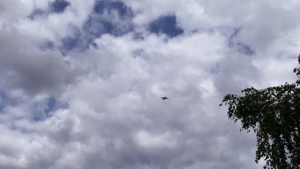 Ciemna sylwetka małego samolotu na tle szarego zachmurzonego nieba lecącego nad głową osoby na wsi — Wideo stockowe
