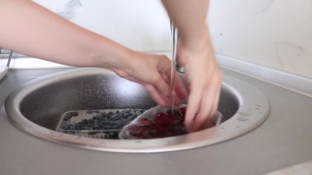 Mujer lavando cereza dulce madura y arándano en un fregadero de cocina bajo chorro de agua, limpiando frutas jugosas frescas en recipientes de plástico de bacterias y suciedad — Vídeos de Stock