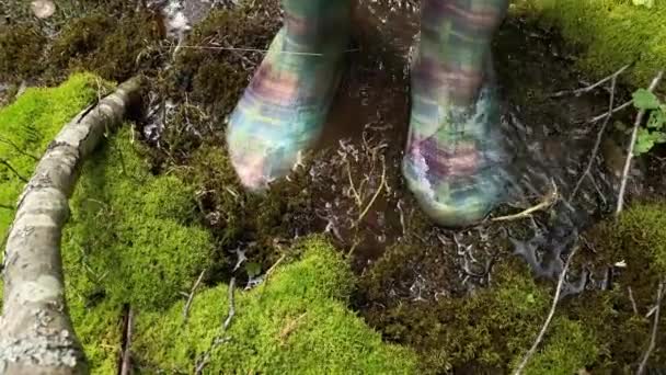 Vista de los pies, las piernas de un cazador o excursionista en botas de goma caminando a través de un pantano y pisando musgo y agua — Vídeo de stock