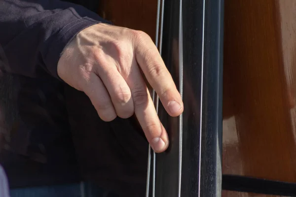 Contrebasse Mains Jouant Et Cordes De Contrebasse Instrument De Musique Gros Plan Bassiste Classique Stock Photo Contrebasse Mains Jouant Et Cordes De Contrebasse Instrument De Musique Gros Plan Bassiste Classique Stock Photo