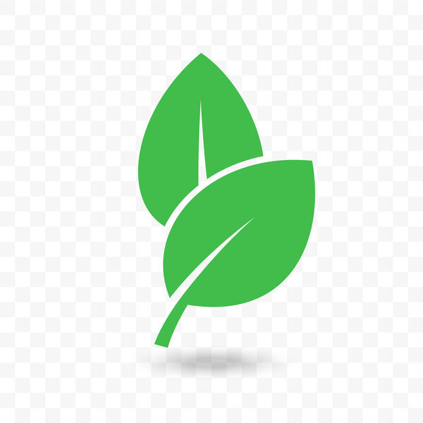 Зеленый лист вегетарианский, био или эко-пища значок
