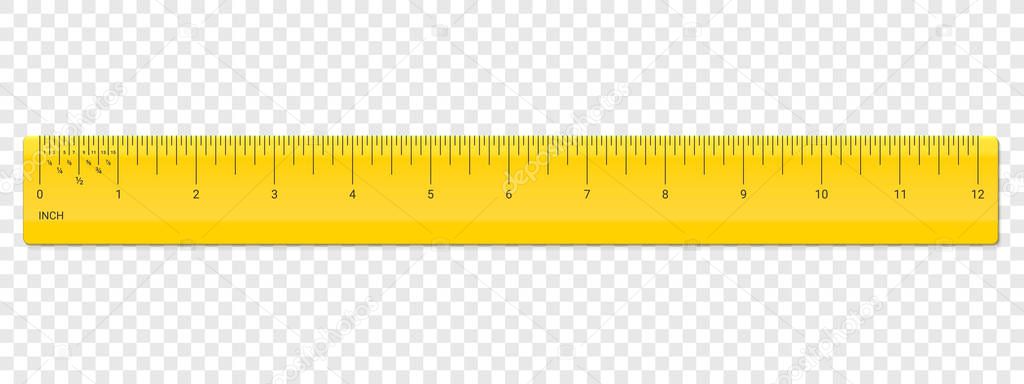 Ruler inch scale vector plastic measurement
