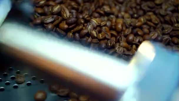Raffreddare i chicchi di caffè dopo la tostatura. Macchina per arrostire, primo piano — Video Stock