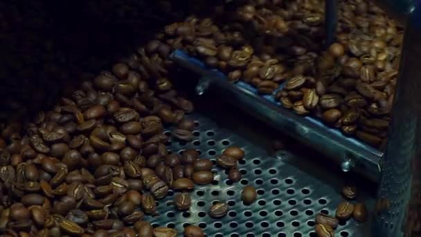 Kylning kaffebönor efter rostning. Stekning maskin, närbild, Slowmotion — Stockvideo