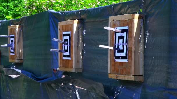 Throwing Knives Target Open Air Distance Competition Throwing Knives Flying — Stock Video