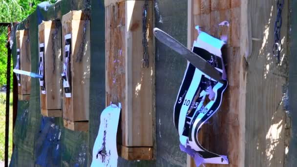 Throwing Knives Target Open Air Distance Competition Throwing Knives Flying — Stock Video