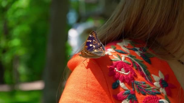 Mariposa Sienta Hombro Una Niña Una Hermosa Mariposa Descansando Antes — Vídeo de stock