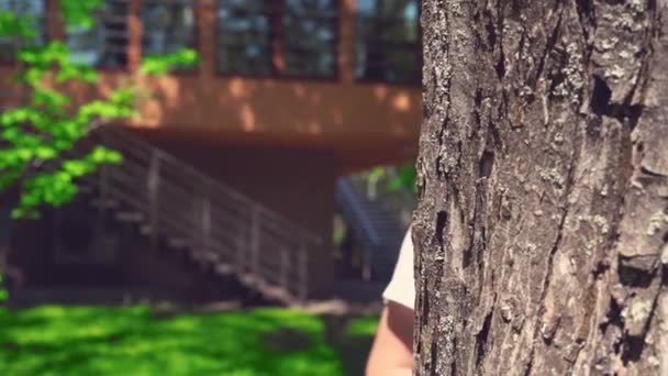 En blond pojke kikar ut från bakom ett träd, leker kurragömma på en solig sommardag — Stockvideo
