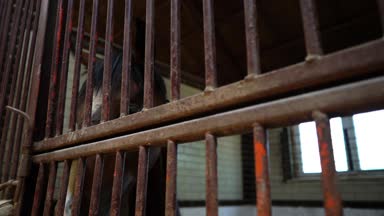 Kamera ayakta ahır demir çubukları yakınındaki içine at görünüyor