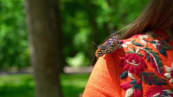 Метелик сидить на плечі молодої дівчини, красивий метелик відпочиває — стокове відео