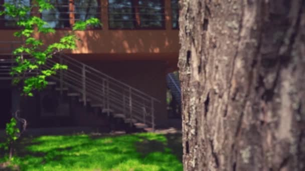 Блондинка выглядывает из-за дерева, играя в прятки в солнечный летний день — стоковое видео