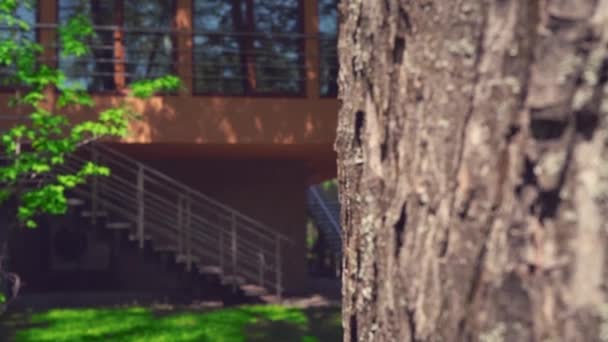 Un chico rubio se asoma detrás de un árbol, jugando al escondite en un soleado día de verano — Vídeos de Stock