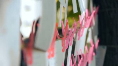 Halata clothespins ile kurutma fotoğrafa eklenen fotoğraflar
