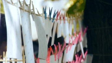 Halata clothespins ile kurutma fotoğrafa eklenen fotoğraflar
