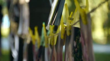 Halata clothespins ile kurutma fotoğrafa eklenen fotoğraflar