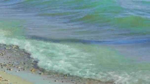 Les pieds des gens venant de la mer. Ligne côtière, mousse marine — Video