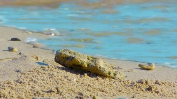 Las olas del mar ruedan en la orilla arenosa, de cerca . — Vídeos de Stock