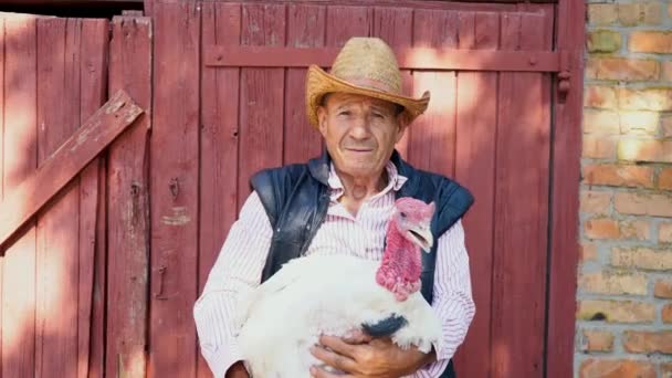 An elderly farmer in a straw hat is holding a live white turkey. Portrait of a man with a white turkey on the background of the farm — Stock Video