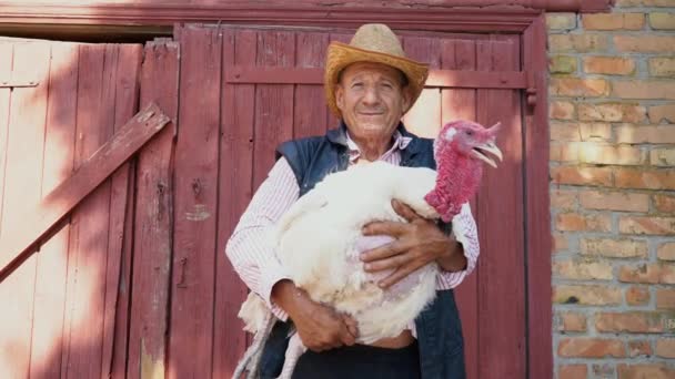 Hasır şapkalı yaşlı bir çiftçi canlı beyaz hindi tutuyor. Çiftlik arka plan üzerinde beyaz bir Türkiye ile bir adam portresi — Stok video