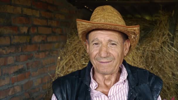 Um agricultor idoso com um chapéu de palha está segurando um galo branco vivo. Retrato de um homem com um galo branco em um fundo de feno . — Vídeo de Stock