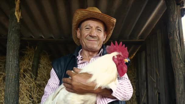 Un granjero anciano con sombrero de paja sostiene un gallo blanco vivo. Retrato de un hombre con un gallo blanco sobre un fondo de heno . — Vídeo de stock