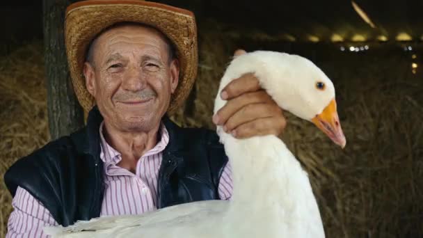 Um agricultor idoso com um chapéu de palha está segurando um ganso branco vivo. Retrato de um homem com um ganso branco em um fundo de feno . — Vídeo de Stock