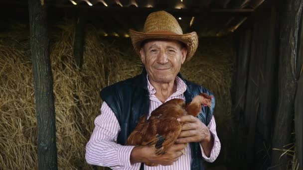 Un granjero anciano con sombrero de paja sostiene un pollo vivo. Retrato de un hombre con un pollo sobre un fondo de heno . — Vídeos de Stock