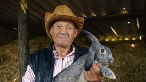 Ένας ηλικιωμένος αγρότης σε ένα ψάθινο καπέλο κρατά ένα μεγάλο γκρι κουνέλι. Πορτραίτο ενός άνδρα στο παρασκήνιο του σανού — Αρχείο Βίντεο