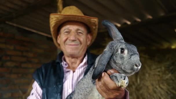 Um agricultor idoso com um chapéu de palha está segurando um grande coelho cinza. Retrato de um homem no fundo do feno — Vídeo de Stock