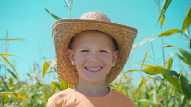 Портрет улыбающегося мальчика в соломенной шляпе на кукурузном поле — стоковое видео