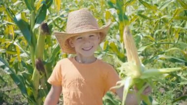 Hasır şapkalı bir çocuk ve bir portakal T-shirt tarlasında, bir Mısır elinde tutan bir çocuk portre