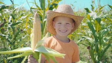 Hasır şapkalı bir çocuk ve bir portakal T-shirt tarlasında, bir Mısır elinde tutan bir çocuk portre