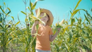 Hasır şapkalı bir çocuk bir tarlasında oynarken, çocuk Mısır koçanı koruyor ve kendini bir kovboy olarak sunar