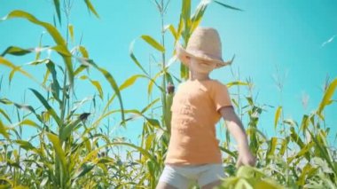 Hasır şapkalı bir çocuk bir tarlasında oynarken, çocuk Mısır koçanı koruyor ve kendini bir kovboy olarak sunar