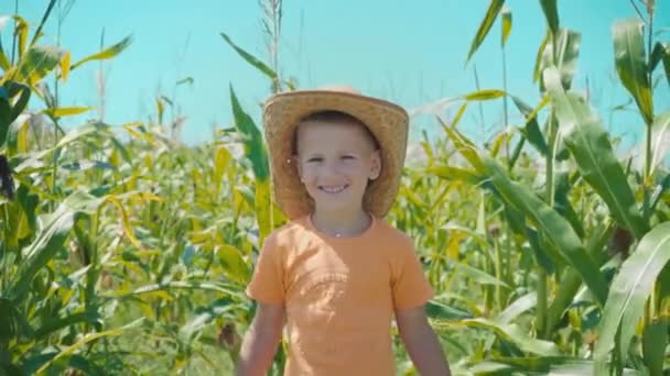 Retrato de un niño sonriente con sombrero de paja en un campo de maíz — Vídeo de stock