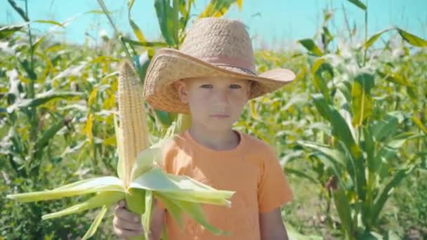 Retrato de un niño con sombrero de paja y una camiseta naranja en un maizal, un niño sosteniendo un maíz en su mano — Vídeos de Stock