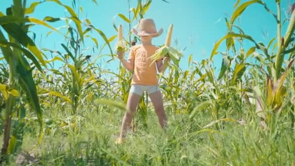 Ένα αγόρι σε ένα ψάθινο καπέλο παίζει σε ένα cornfield, το παιδί κατέχει καλαμπόκι στάχυα και παρουσιάζει τον εαυτό του ως έναν καουμπόη — Αρχείο Βίντεο