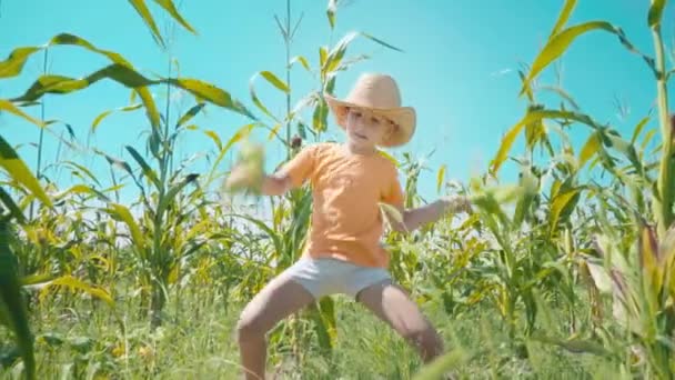 Een jongen in een stro hoed is playing in een cornfield, het kind houdt maïs cobs en presenteert zichzelf als een cowboy — Stockvideo