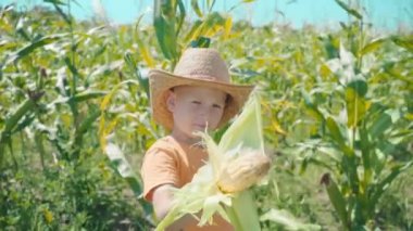 Hasır şapkalı bir çocuk bir tarlasında oynarken, çocuk Mısır koçanı koruyor ve kendini bir kovboy olarak sunar