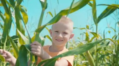 Sarışın bir çocuk T-shirt bir tarlasında oynarken bir turuncu bir çocuk içinde mısır saplarını saklanıyor