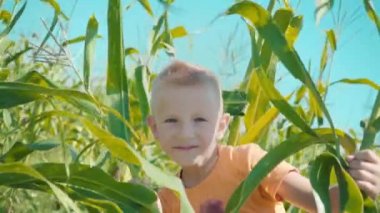 Sarışın bir çocuk T-shirt bir tarlasında oynarken bir turuncu bir çocuk içinde mısır saplarını saklanıyor