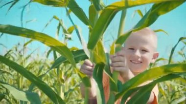 Sarışın bir çocuk T-shirt bir tarlasında oynarken bir turuncu bir çocuk içinde mısır saplarını saklanıyor