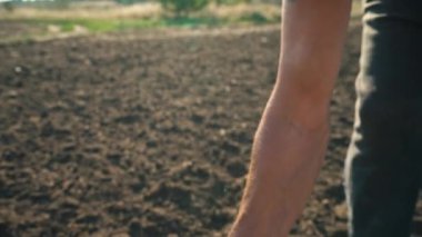 Tahıl bir çiftçi toprak zemin üzerine elinde buğday alanında bir adamın parmaklarının arasından dökülür