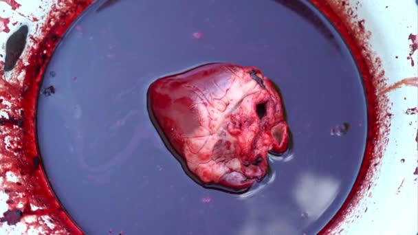 Bir hayvanın bir kap içinde kanlı kalp kan ile dolu — Stok video
