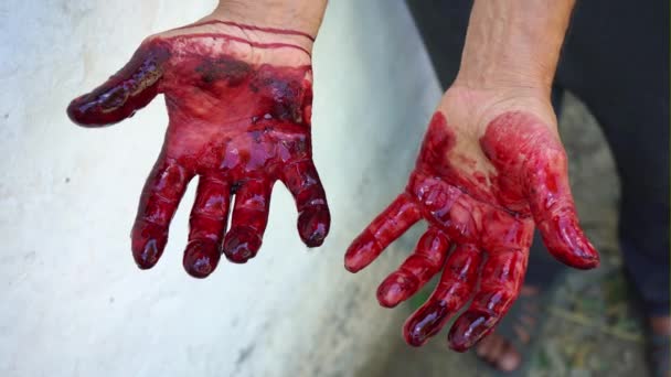 Krwawe ręce. Męskie dłonie są splamione krwią, ręce organi- — Wideo stockowe