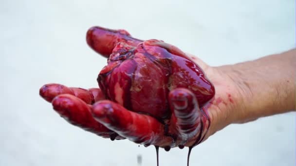 A mans hand holds a bloody heart on a white background — Stock Video