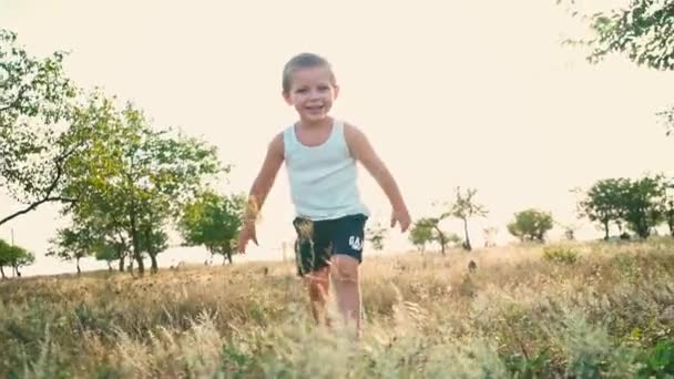 Malý kluk usměje a otočí. Šťastné dětství. Portrét veselý aktivní dítě — Stock video